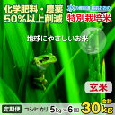 【ふるさと納税】【令和6年産 新米】【6ヶ月定期便】こしひかり 5kg × 6回 計 30kg【玄米】減農薬・減化学肥料 「特別栽培米」－地球にやさしいお米－【お米・コシヒカリ・玄米】[D-003006]