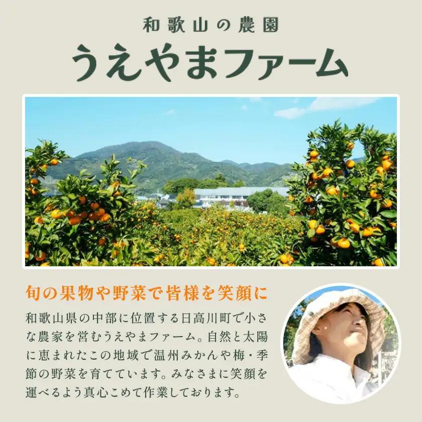 うすいえんどう 約1kg うえやまファーム《2027年4月上旬-5月下旬頃出荷》