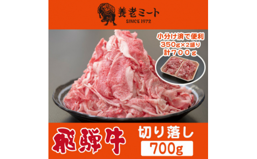 飛騨牛　切り落し　700g　訳あり(350g×2盛りで小分け済)【1503571】