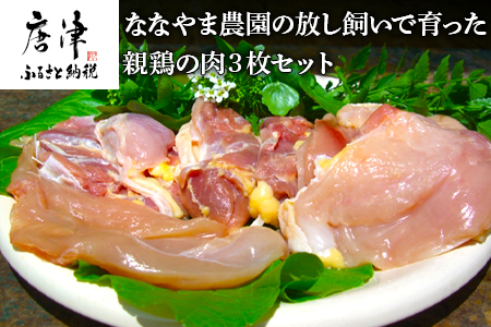 『先行予約』【6月中旬より順次発送予定】佐賀県産 放し飼いで育った親鶏の肉 (もも むね ささみ各2枚×3) 煮込み料理 たたき