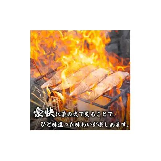 【急速冷凍】 鮮度抜群！かつおのタタキ100g 2枚セットと塩1袋 高知県 須崎市 NS018
