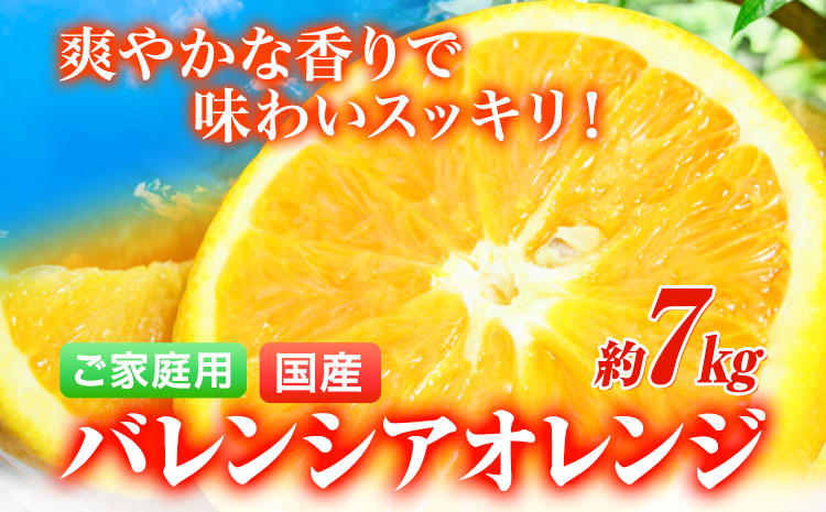 【ご家庭用訳あり】【先行予約】希少な国産バレンシアオレンジ 約7kg 株式会社魚鶴商店《2025年6月下旬-7月上旬出荷》和歌山県 日高町---wsh_uot51_6g7j_24_16000_7kg---