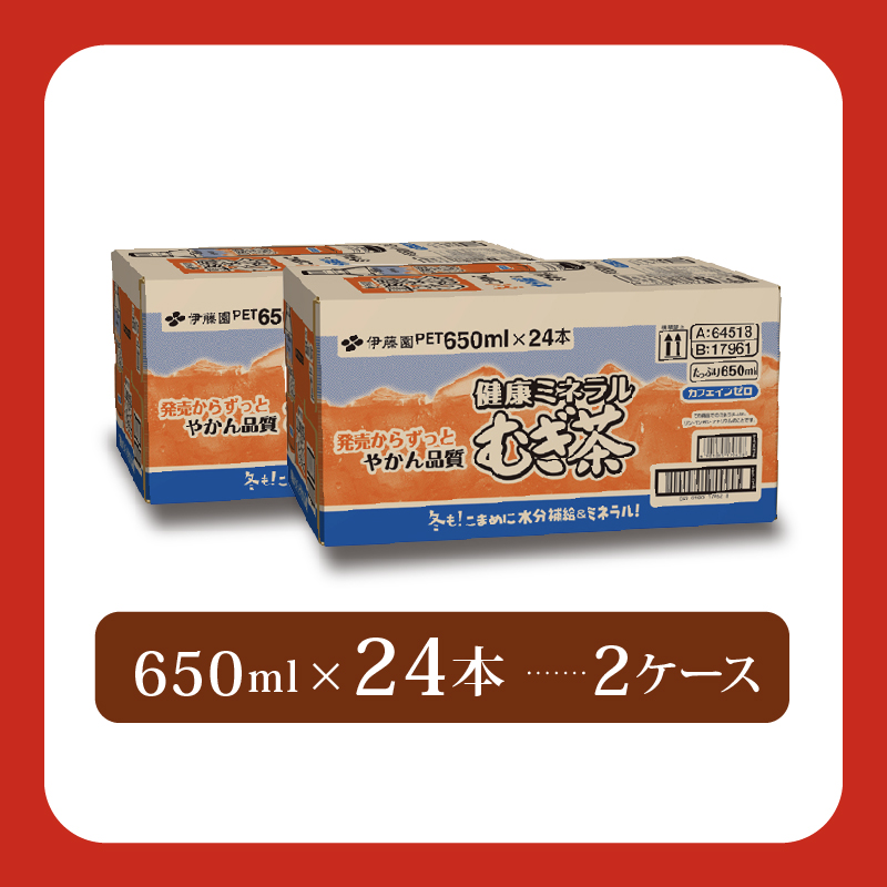 131-44 健康ミネラル むぎ茶 計48本 650mL × 24本 2ケース お届け カフェインゼロ 防災備蓄 茶 ペットボトル 飲料 伊藤園 ノンカフェイン