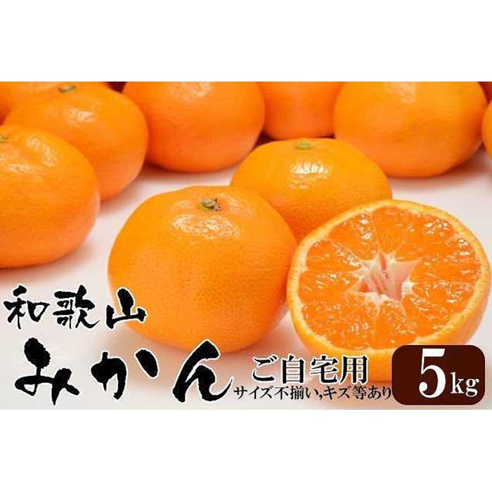 【ふるさと納税】和歌山産 みかん 5kg ［ご自宅用・サイズ不揃い・キズ等あり］［ヤマタ大谷商店］ | みかん 柑橘 蜜柑 和歌山 フルーツ 果物 ふるさと納税 返礼品