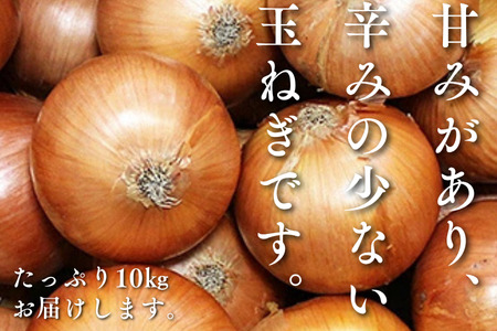 【期間限定】佐賀県産 たまねぎ 10kg 旬 佐賀県 佐賀市 玉ねぎ：B120-079