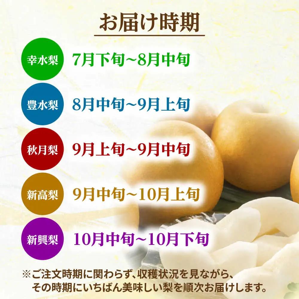旬の梨 約2.5kg  ARET007 日田 梨