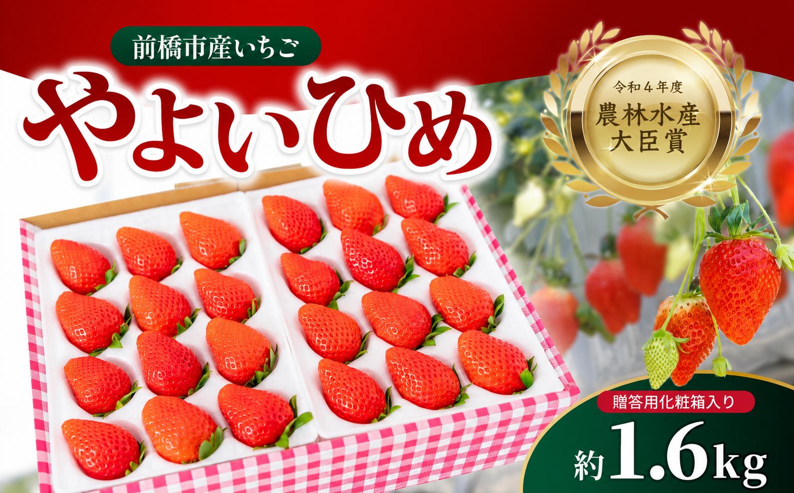 
                  いちご やよいひめ 1.6kg 朝採れ 化粧箱 農林水産大臣賞受賞 2027年 先行予約 大容量 | 非日常 贈答用 イチゴ 苺 高品質 フルーツ たっぷり 新鮮 完熟 旬 ストロベリー 高級 産地直送 果汁 甘い あまい 人気 高評価 高糖度 ごほうび プレゼント 松井ファーム 群馬県 前橋市
                