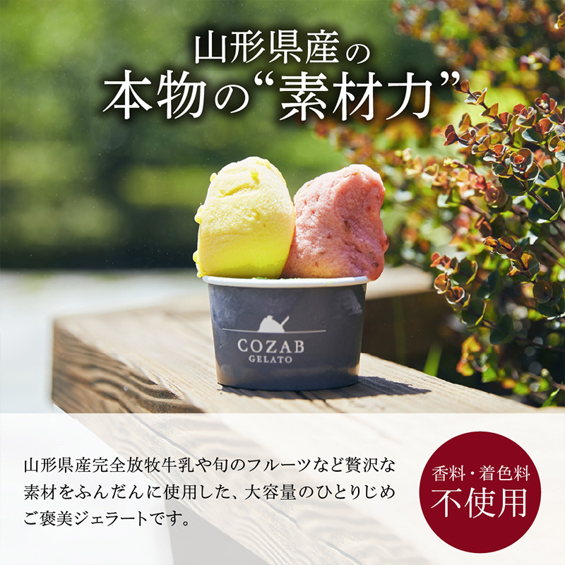 COZAB GELATO 訳あり 大容量 ひとりじめサイズ 2個セット FY25-276
