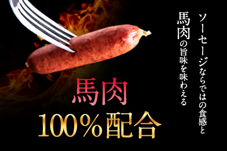 馬肉100%ソーセージ 2kg (500g×4袋) 肉 馬肉 ソーセージ 2kg 熊本県玉東町《60日以内に出荷予定(土日祝除く)》