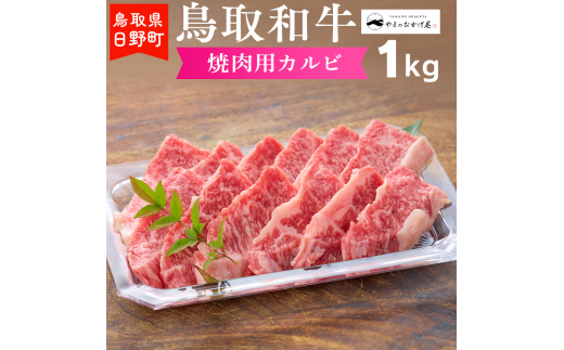 
鳥取和牛 焼肉用カルビ（1kg）【やまのおかげ屋】HN033-001
