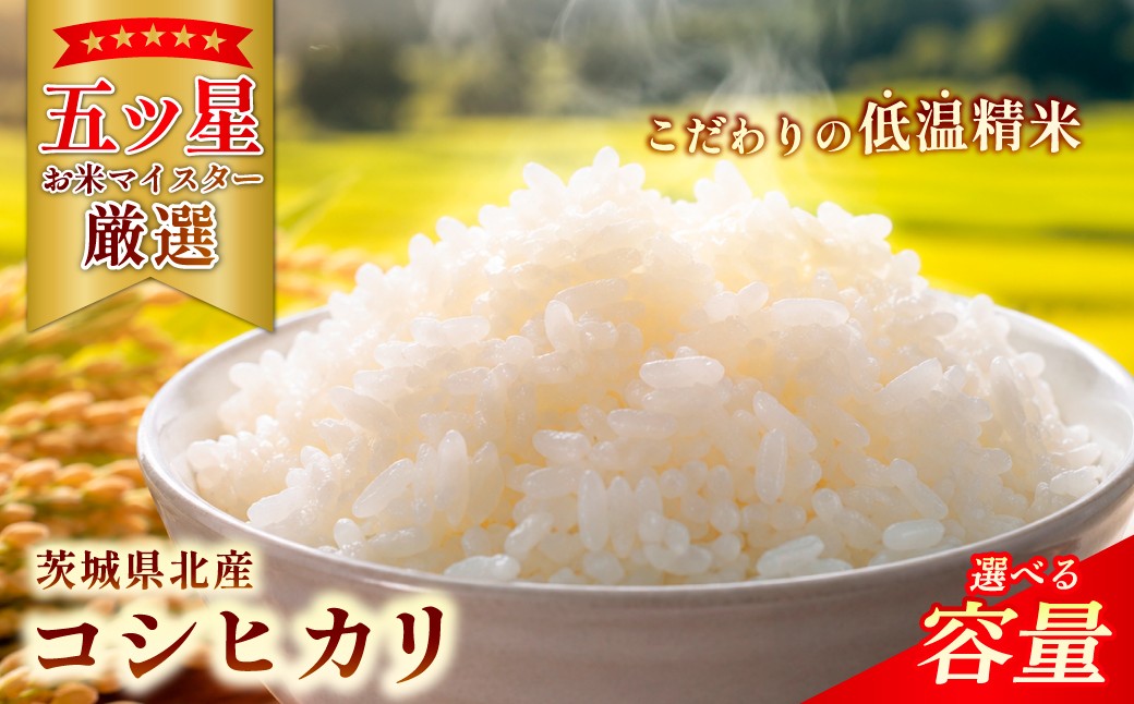 
                  米 こしひかり 特選こしひかり 常陸の恵 茨城県北産 5㎏ 10kg 選べる 内容量 | コシヒカリ こしひかり 米 コメ こめ 白米 精米 5kg 5キロ 10kg 10キロ 五ツ星 お米マイスター HACCP取得 低温精米 健康 体 やさしい 高品質 お米 ご飯 美味しい米 ブランド米 特産物 人気米 あさや米穀 茨城県産 常陸太田市
                