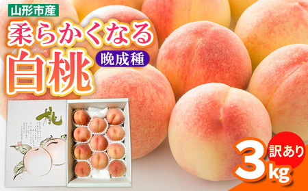 【訳あり】柔らかくなる 白桃 優品 晩成種 3kg (7個～14個)【令和8年産先行予約】FS25-146