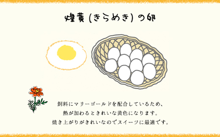 10ヶ月定期便 たまごやとよまる 煌黄20個 SMAS016 千葉県 山武市 卵 たまご タマゴ