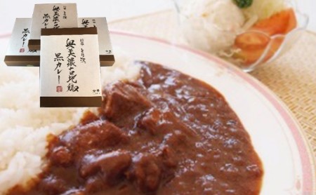黒カレー 奥美濃古地鶏 神代の味 レトルト 黒カレー【4箱】