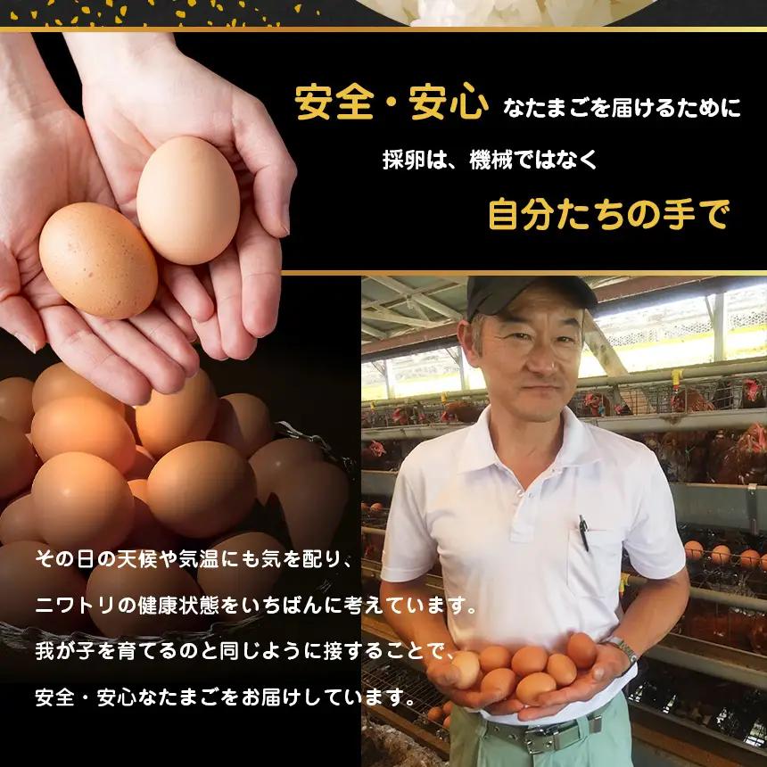 永光卵 おいしいたまご永光卵 40個 | 光永ファーム 卵 