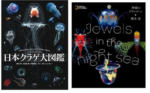 
                  清水町ふるさと大使（清水町在住） 海洋生物写真家　峯水亮氏　『日本クラゲ大図鑑』＆『Jewelsin the night sea　神秘のプランクトン』　２冊セット
                