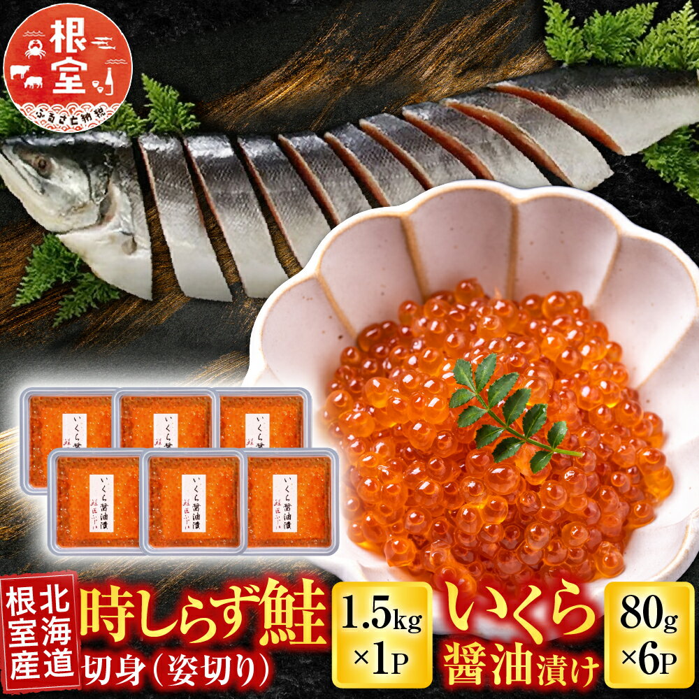 【ふるさと納税】 [北海道根室産] 時しらず鮭 1.5kg × 1P ・いくら醤油漬け 80g × 6P 鮭 さけ サケ しゃけ シャケ 魚 さかな サカナ 沖どれザケ 沖どれざけ 春ザケ 春ざけ 春鮭 時不知 時鮭 ときしらず 甘塩 イクラ 醤油 D-42067