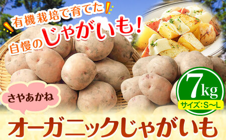 じゃがいも 北海道十勝 オーガニック じゃがいも さやあかね 7kg サイズ S-2L《10月下旬-3月中旬頃出荷》 じゃがいも じゃがいも じゃがいも じゃがいも じゃがいも じゃがいも