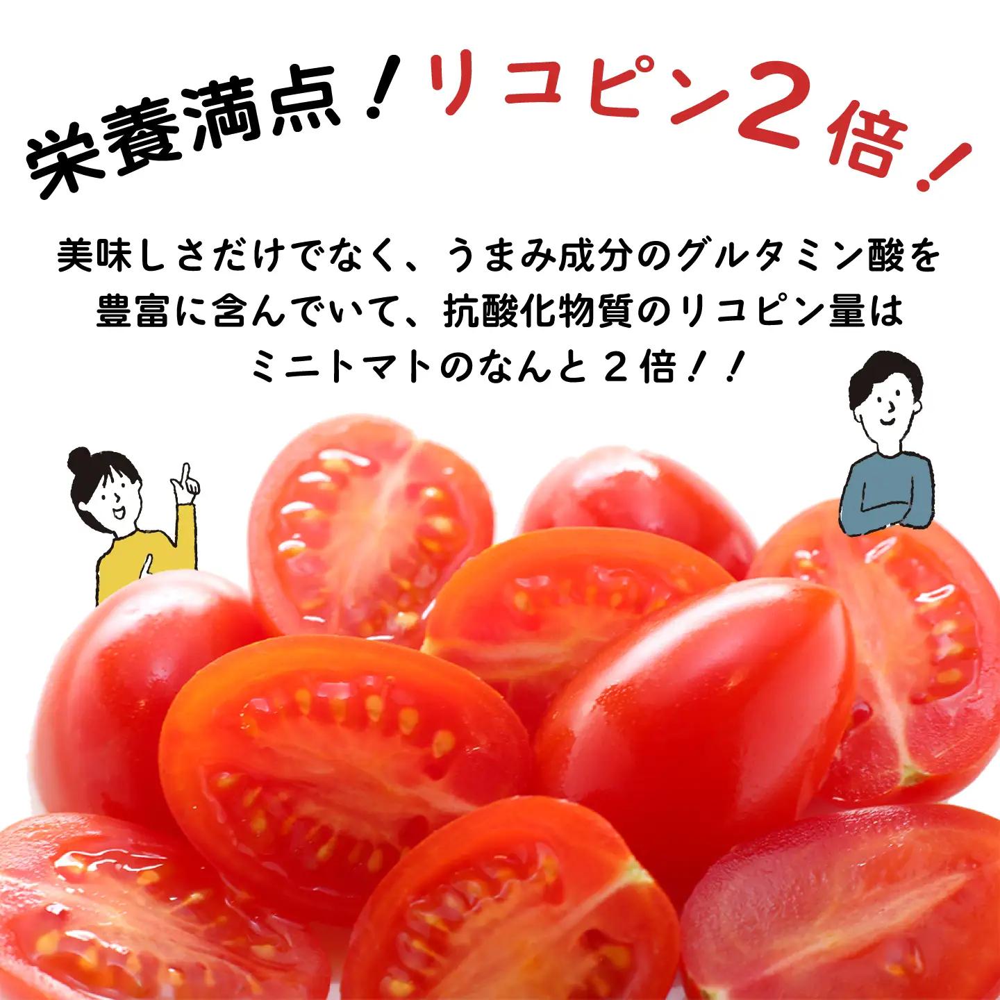 【完熟ミニトマト】アイコトマト 約1kg [SCB039] トマト