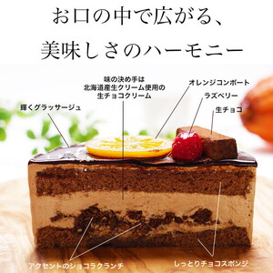 クリスマスケーキ　生チョコ トルテ 5号 4-6人分　パティスリー天使のおくりもの ※離島への配送不可 ※2025年12月上旬～12月下旬頃に順次発送予定