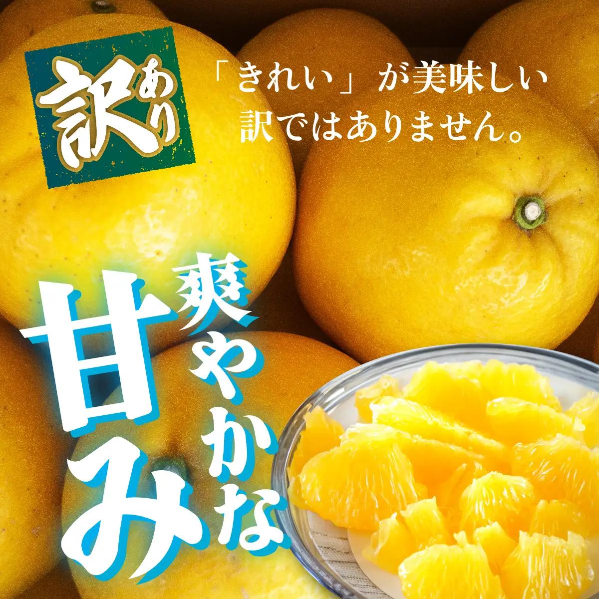 ＜【訳あり】愛媛県産 河内晩柑 約5kg＞『2026年4月上旬～8月下旬迄に順次発送予定』わけあり 訳アリ みずみずしい 和製グレープフルーツ かわちばんかん みかん 蜜柑 果物 くだもの フルーツ 