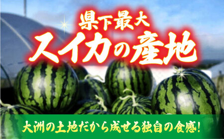 【先行予約】【6月上旬から順次発送】 スイカ【祭りばやし】 4L（9〜10kg）×2玉 計18〜20kg [AGDH004] スイカ スイカ スイカ スイカ