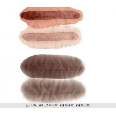 ふるさと納税 田辺市 彩煙墨五本セット『人気色その1』 【skm024】 |  | 01