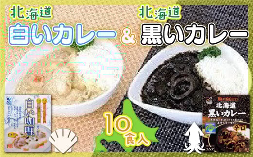 各賞受賞北海道産食材使用 黒いカレー(イカ入)&白いカレー(ほたて入)10食セット ふるさと納税 人気 おすすめ ランキング 黒いカレー 白いカレー 受賞 道知事賞  北海道 七飯町 送料無料 NAO007