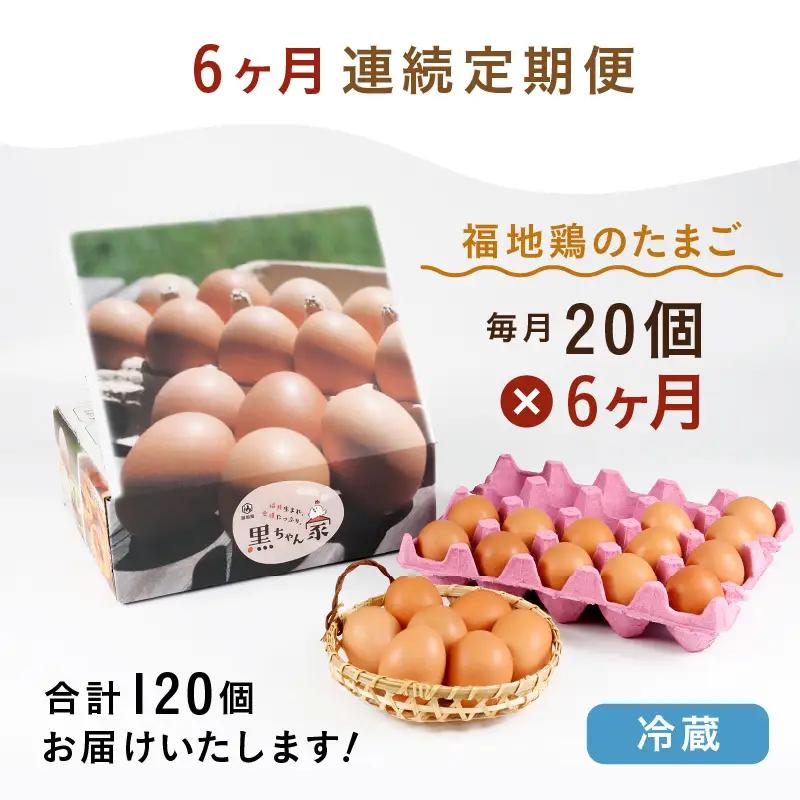 【6ヶ月連続お届け】 福井ブランド 「福地鶏」 の卵 20個 濃厚で甘くておいしい！  定期便 ／ 卵 たまご 鶏卵 生卵 有精卵 高級 高級卵 福地鶏 鶏 平飼い 美味しい こだわり 6ヶ月 定期便
