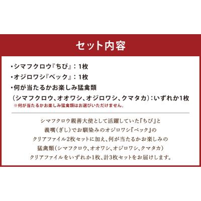 ふるさと納税 釧路市 【 7日程度で発送 】 猛禽類医学研究所オリジナルクリアファイル 3種セット |  | 01
