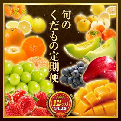 ふるさと納税 新富町 【発送月固定定期便】旬のくだもの定期便全12回