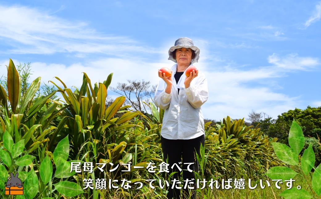徳之島から全国各地に完熟マンゴーをお届け致します！