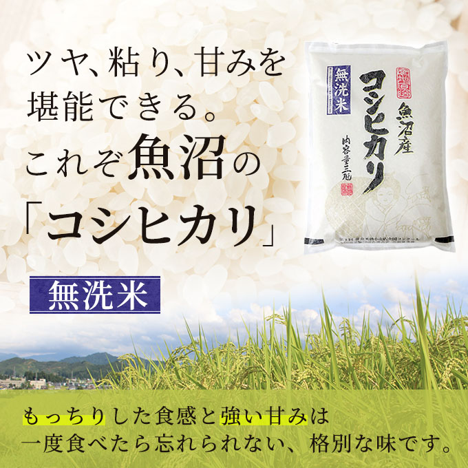 お米マイスター厳選 魚沼 コシヒカリ 無洗米 6kg (3kg×2) 10ヶ月 連続お届け ( 米 お米 こめ コメ おこめ 白米 こしひかり 10回 60kg お楽しみ )