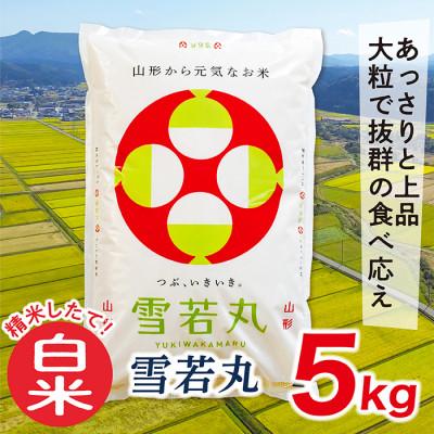 ふるさと納税 最上町 【白米】令和7年産山形県産雪若丸5kg