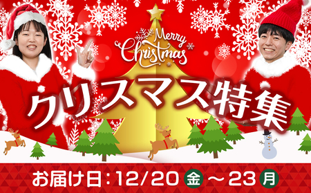 【☆クリスマス☆】宮崎牛サーロインステーキ200g×3枚≪12月20日～23日お届け≫_AD-2603-OJX_(都城市) 宮崎牛 牛 サーロイン サーロイン ステーキ 200g×3枚 600g