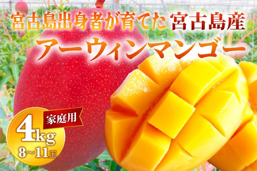 【家庭用】宮古島産マンゴー4kg ＜リトルグローブ＞（LT005）