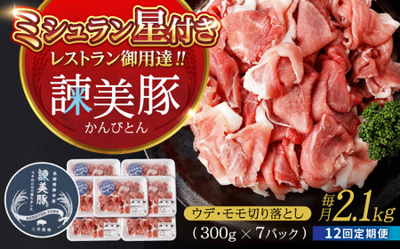 【12回定期便】諫美豚 豚肉 切り落とし 2.1kg / 豚肉 ぶたにく ぶた肉 きりおとし豚肉 小分け 豚肉 国産豚肉 冷凍豚肉 豚肉料理 / 諫早市 / 株式会社土井農場 [AHAD022]