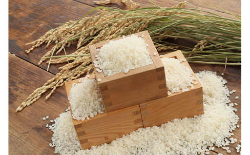 【令和8年産新米予約】2026年度産南魚沼市産コシヒカリ「梅蛍」5kg　【2026年10月上旬より1ヶ月以内に順次発送予定】