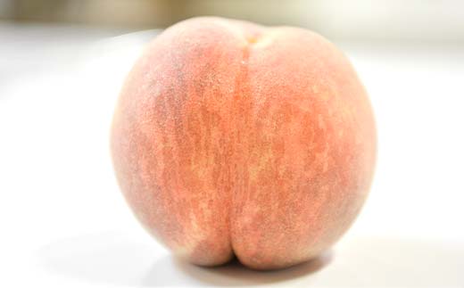 FYN9-917 ≪2025年先行予約≫ご家庭用 山形県産 おまかせ 白桃 約5kg(12～20玉) 2025年8月上旬から順次発送 夏果実 果実 果物 くだもの フルーツ 桃 もも ピーチ 家庭用 