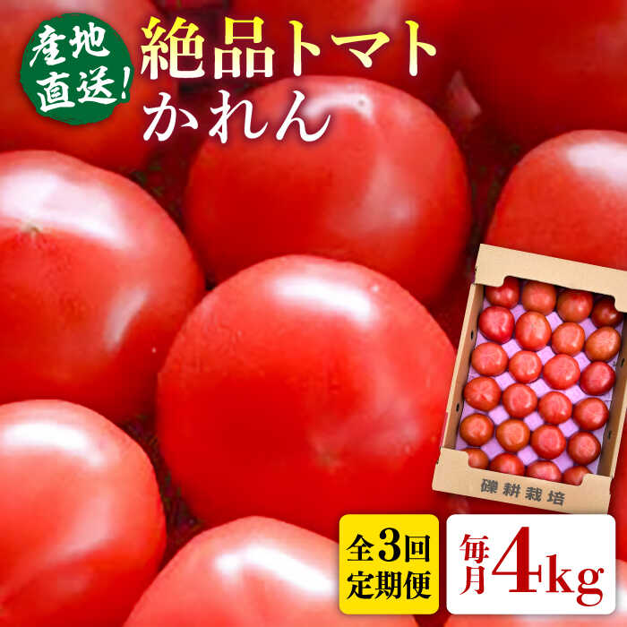 【ふるさと納税】【先行受付】【全3回定期便】期間限定 旬野菜 糸島産 絶品トマト かれん (4kg28玉前後) 【2025年12月上旬以降順次発送】糸島市 / シーブ 野菜 とまと[AHC066] 常温 61000円 6万1千円