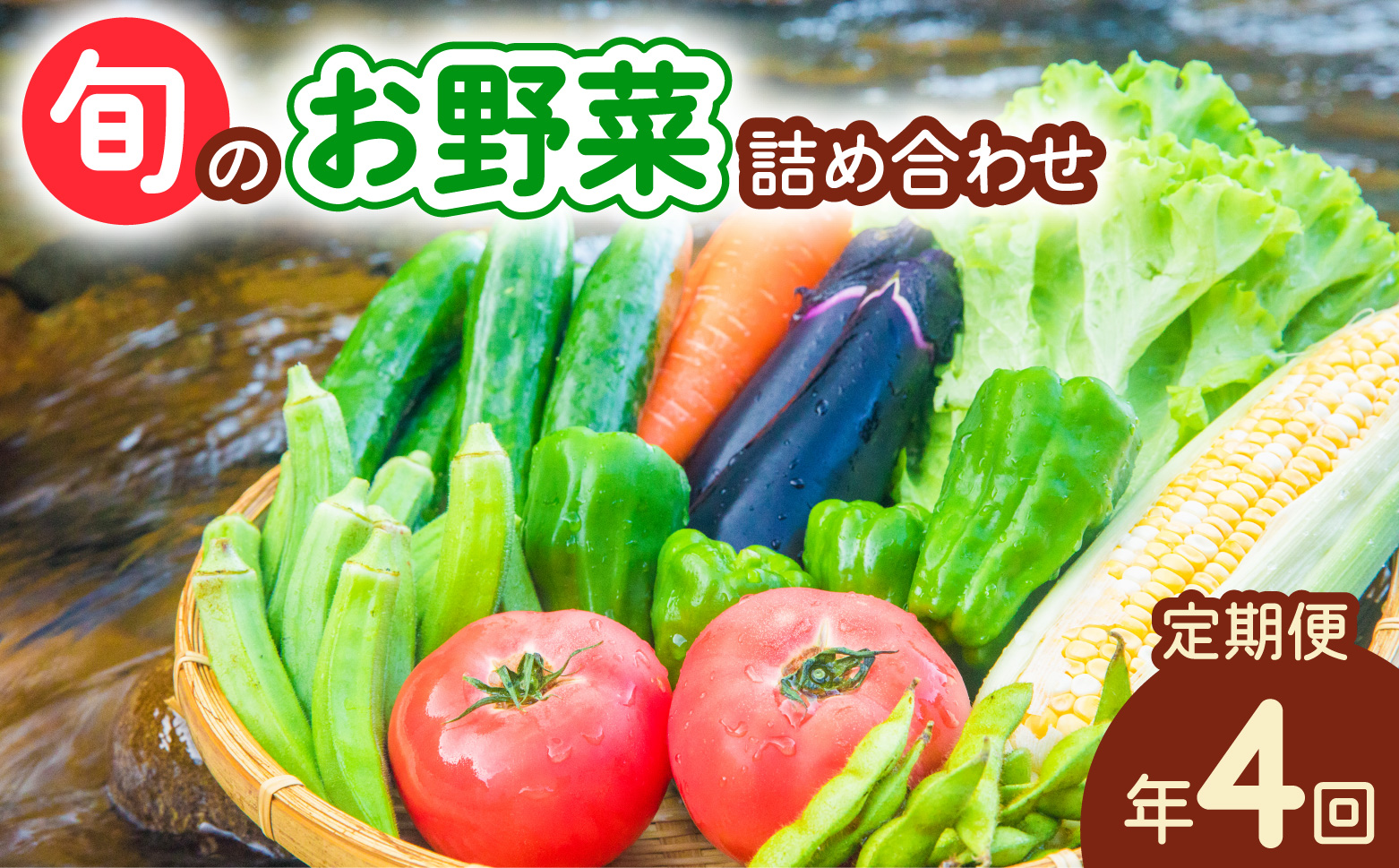 【定期便年4回】阿波の国海陽町 旬のお野菜詰め合わせセット 8～12品×4回 野菜 定期便 野菜定期便 年4回 徳島県 海陽町産 野菜セット 季節の野菜 詰め合わせ おまかせ