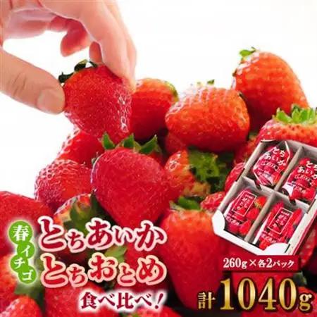 いちご生産量日本一栃木産　春イチゴ『とちおとめ』『とちあいか』 (260g×4パック)食べ比べセット_いちご 苺 とちおとめ とちあいか セット 食べ比べ 人気 おすすめ 送料無料 贈答 ギフト 栃木 佐野 冷蔵 春いちご_【配送不可地域：離島】【1489767】
