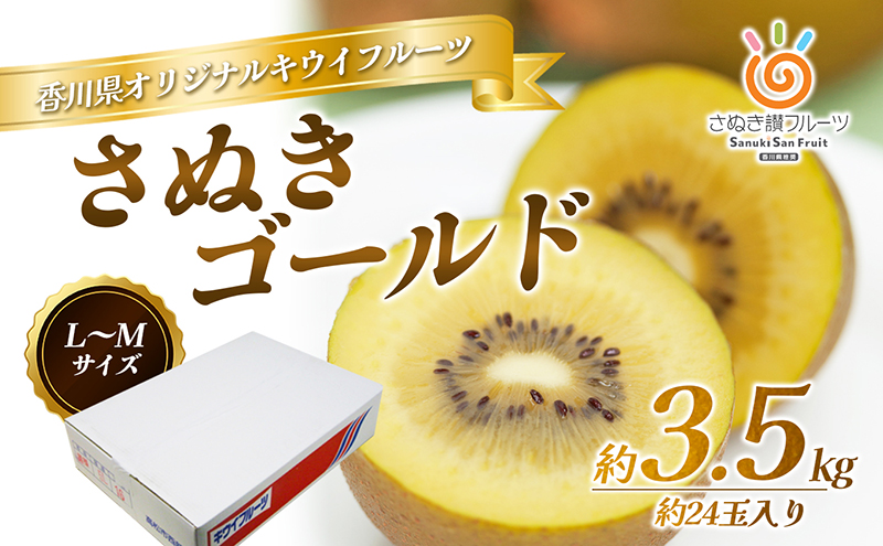 キウイ キウイフルーツ さぬきゴールドキウイ ゴールデンキウイ ゴールドキウイ 香川県産 国産 約3.5kg L～4Lサイズ 16～24玉 大玉 香川県オリジナル品種 追熟 食べごろ 甘い 朝食 デザート フルーツ 果物 くだもの 果実 五色青果 香川 香川県 東かがわ市