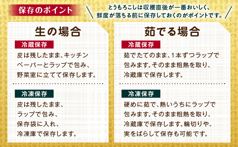 《2025年発送先行予約》宮崎市産朝どれスイートコーン（ゴールドラッシュ）約8kg_M320-001