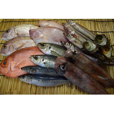 ふるさと納税 境港市 <平日着>おすすめ鮮魚詰め合わせ(4〜5種類)【7〜8月・年末年始配送不可】