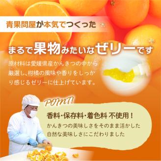 ちゅうちゅうゼリー 定期便 5個×3回 果汁ゼリー 柑橘 ゼリー みかん 果物ゼリー スイーツ 愛媛県 松山市