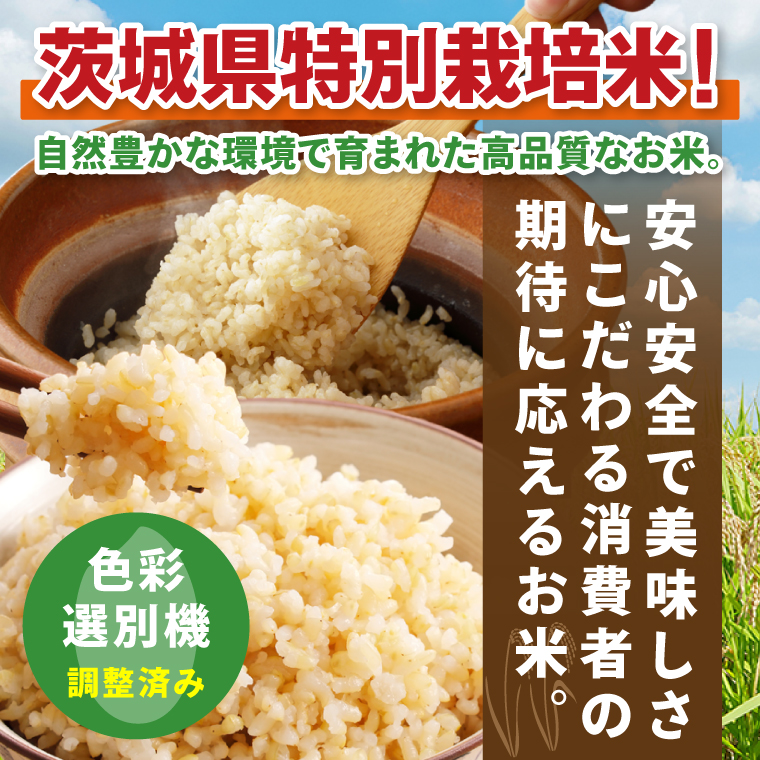 令和7年産 茨城県特別栽培米コシヒカリ ネオニコフリー玄米5kg｜米 おこめ こしひかり 農家直送 直送 茨城県 阿見町（04-30）