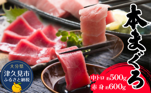 【本まぐろ】本まぐろ中トロ 約500g・本まぐろ赤身 約600gのマグロ味わいセット | 本まぐろ まぐろ マグロセット マグロ冊 まぐろトロ 中トロ まぐろ刺し身 大分県 九州 津久見市 熨斗対応