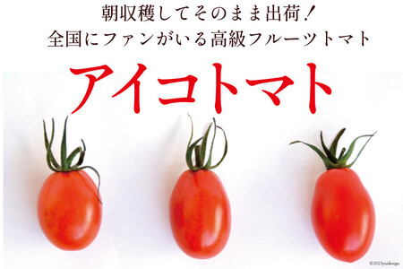 AF014 全国にファンがいる高級フルーツトマト アイコ たっぷり！1kg