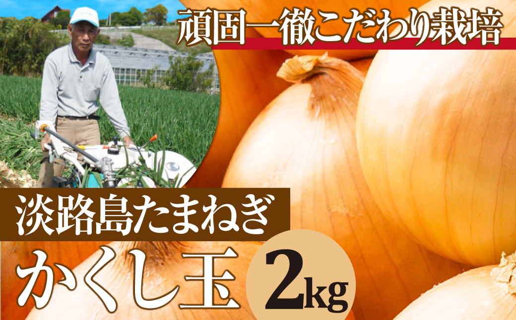 今井ファームの淡路島たまねぎ「かくし玉」 2kg　　[玉ねぎ